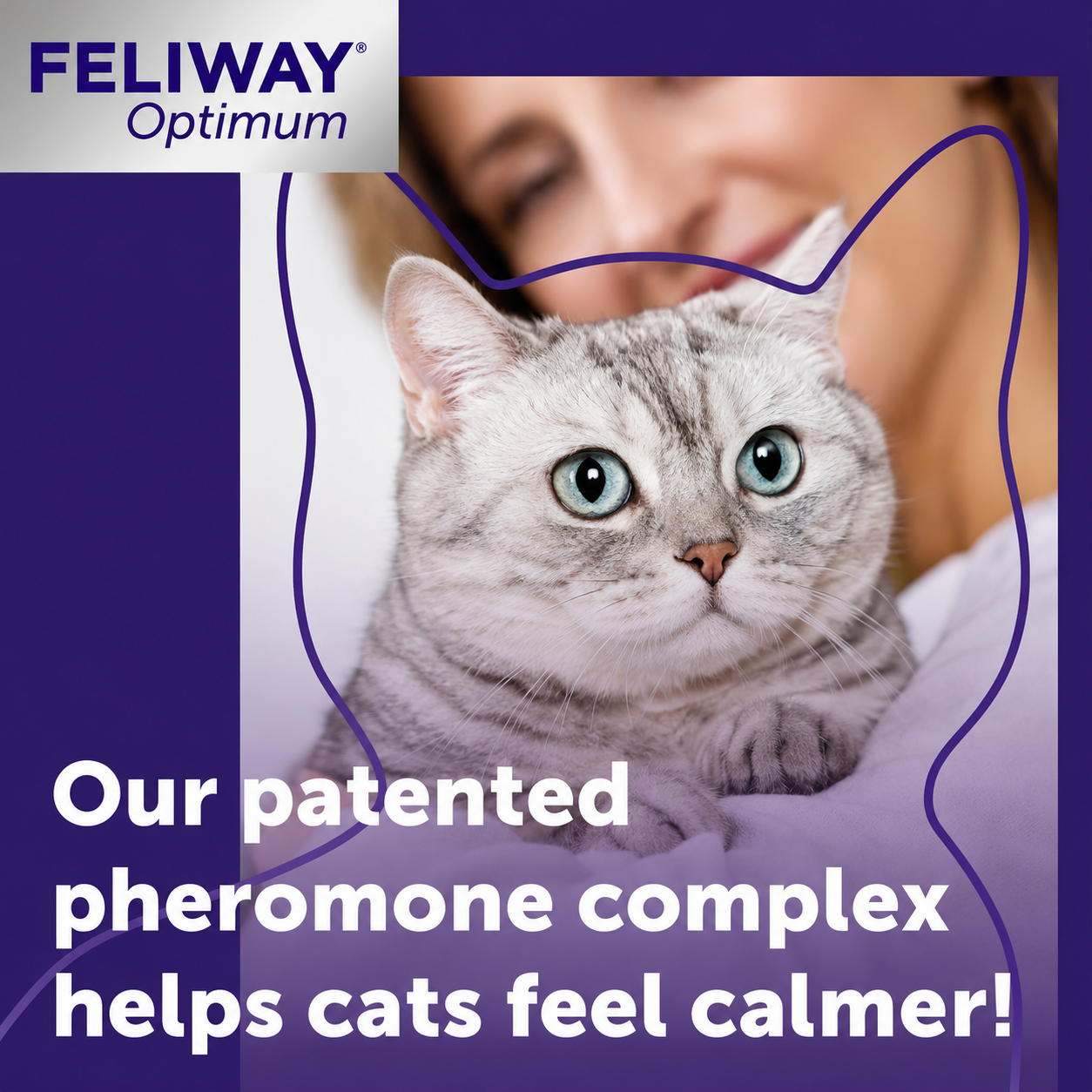 Feliway Optimum Refill Value Pack 3 x 48ml | 3 x 30 Day Diffuser Refills for Cats