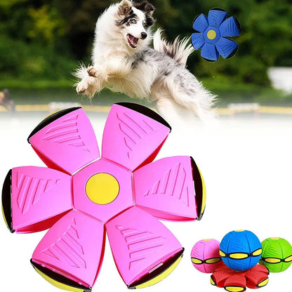 Flying Saucer Doggy Disc Ball